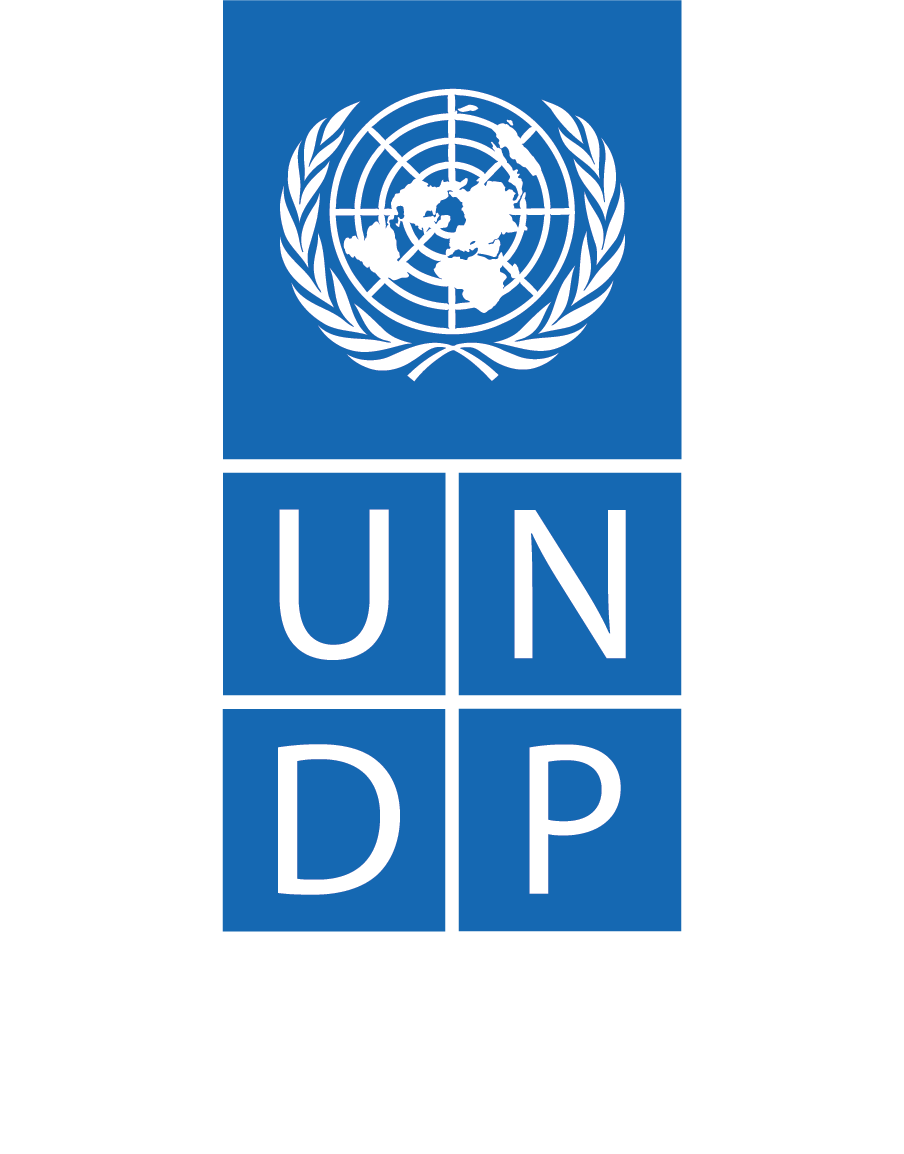 United Nations Development Programme (UNDP)